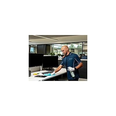 SECURITY AND MINOR SERVICES