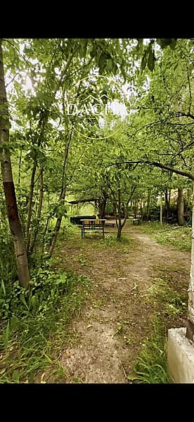 •	🏡 Tabiat qo‘ynidagi shinam dacha — 1