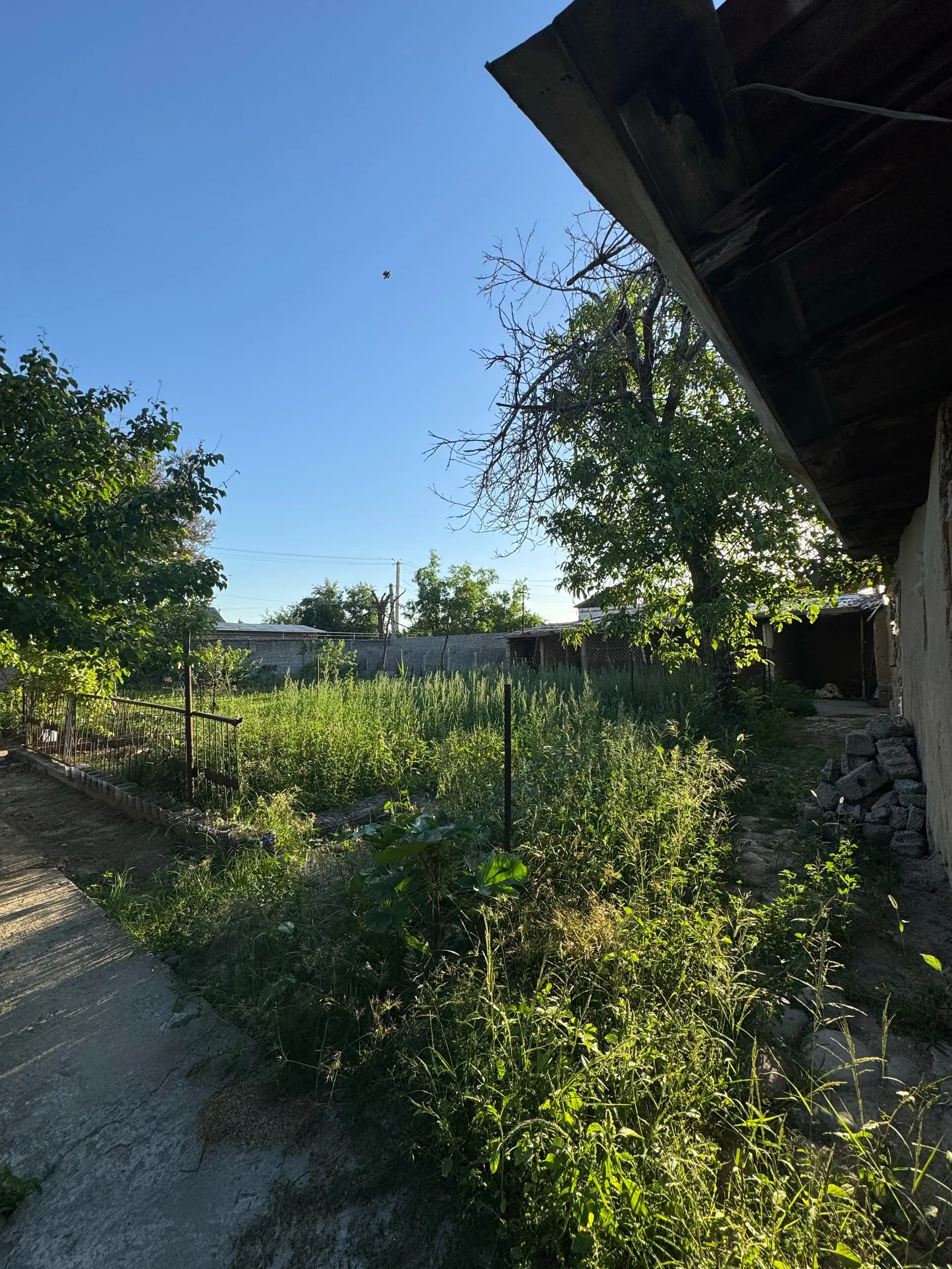 Laylak mahalla — 4