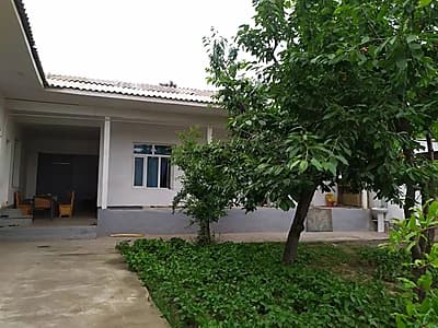 Hovli Olmazor tumani, Rag‘az ko‘cha — 3