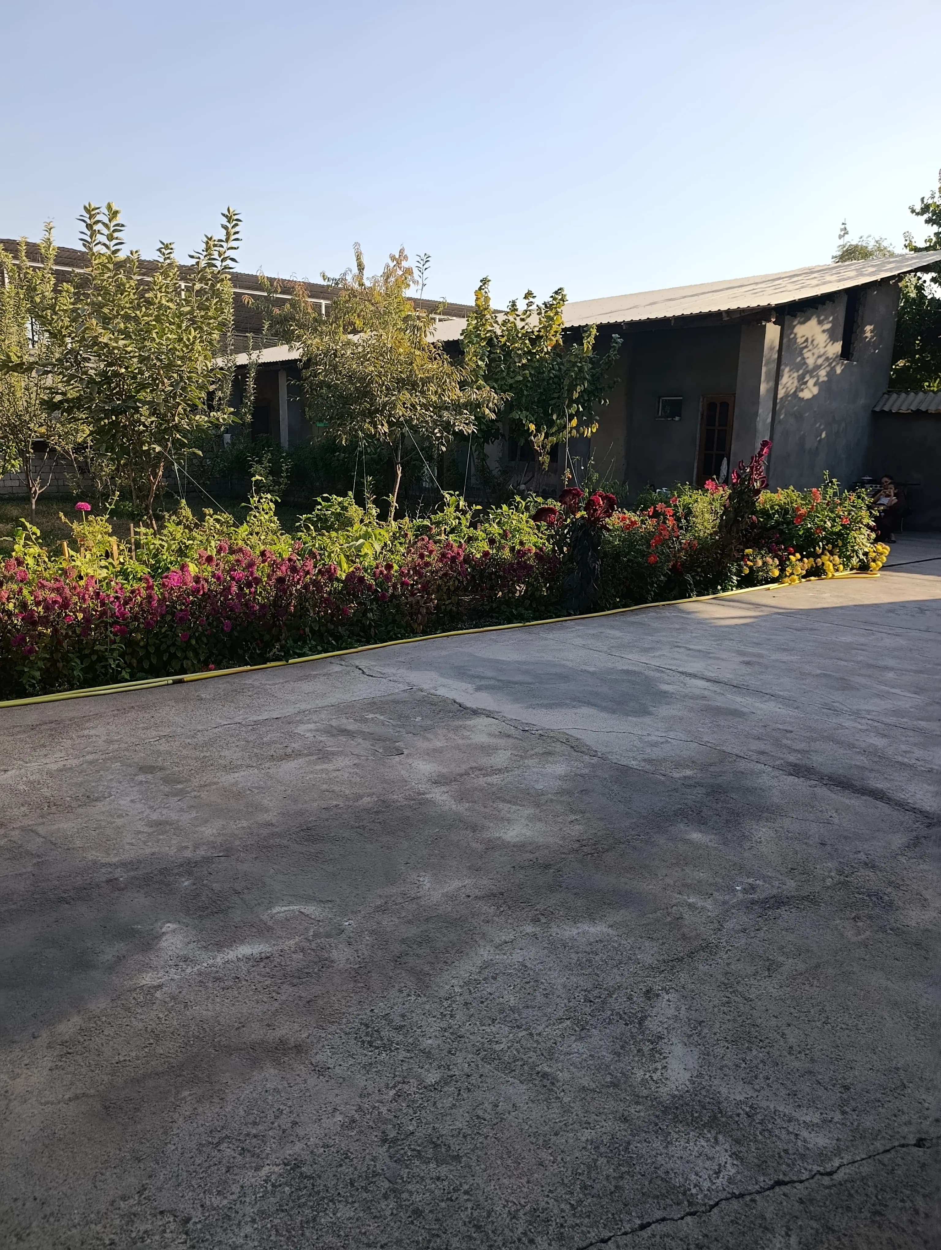 Uchaska sotiladi 6 sotix — 4