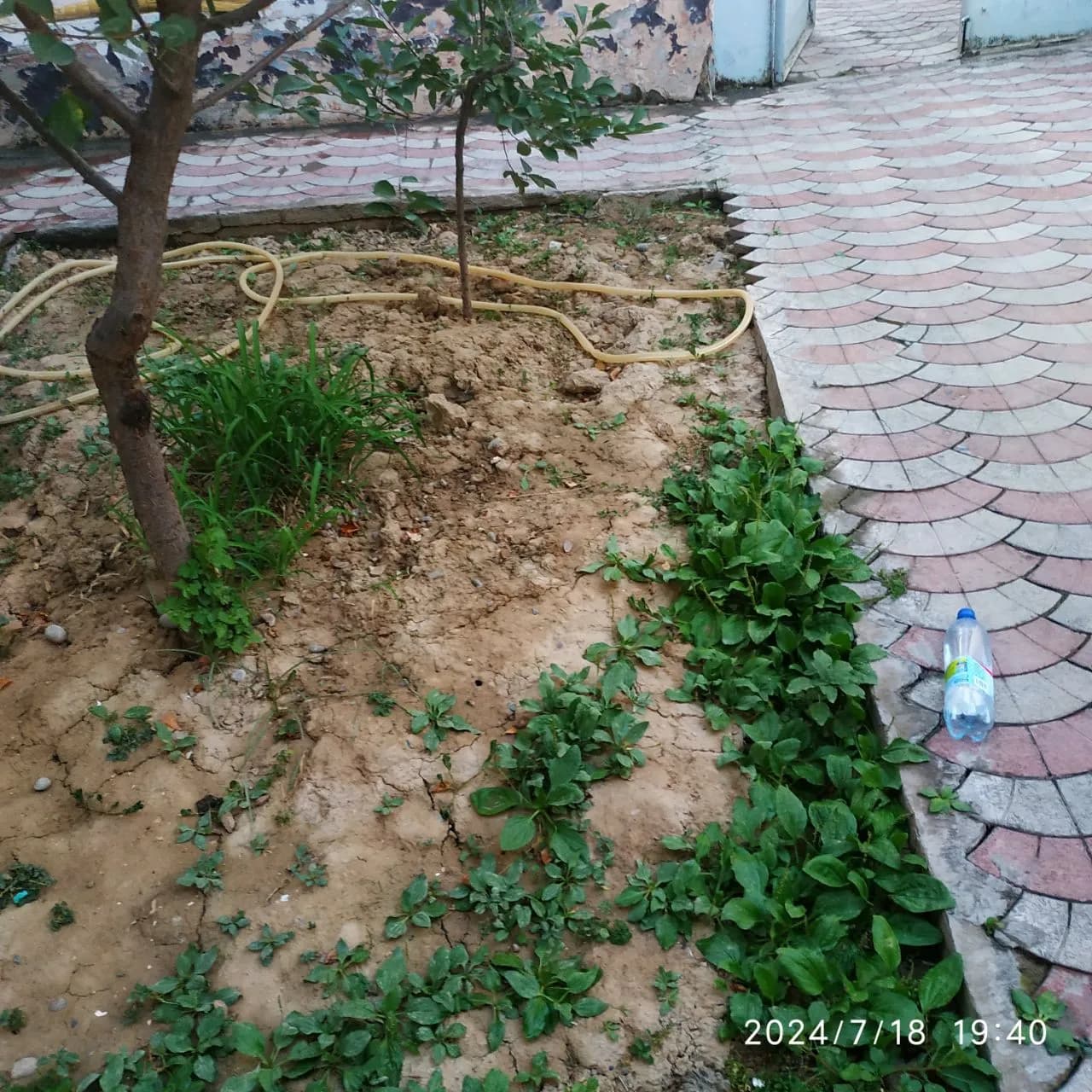 Уй сотилади, Қорасарой 2-роддомни орқасидаги махаллада, жуда қулай локация. Файзибаланд 45 уй. — 8