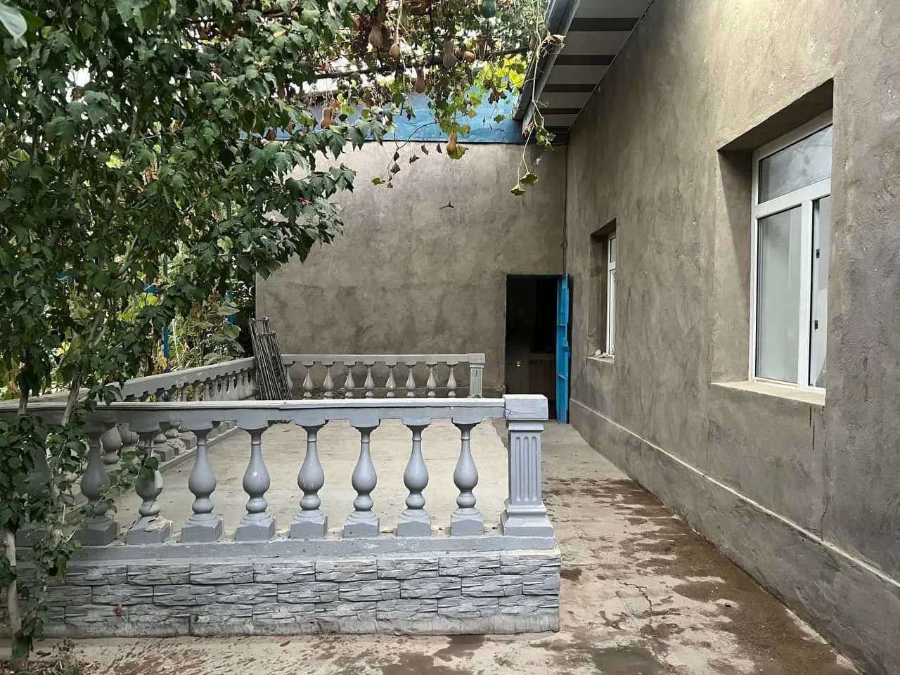 Экологик тоза худудда Уй сотилади — 5