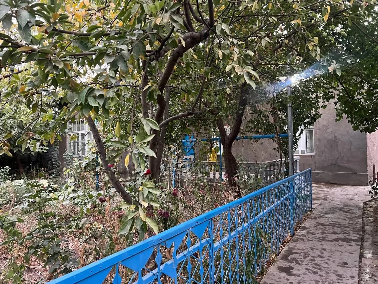 Экологик тоза худудда Уй сотилади — 4