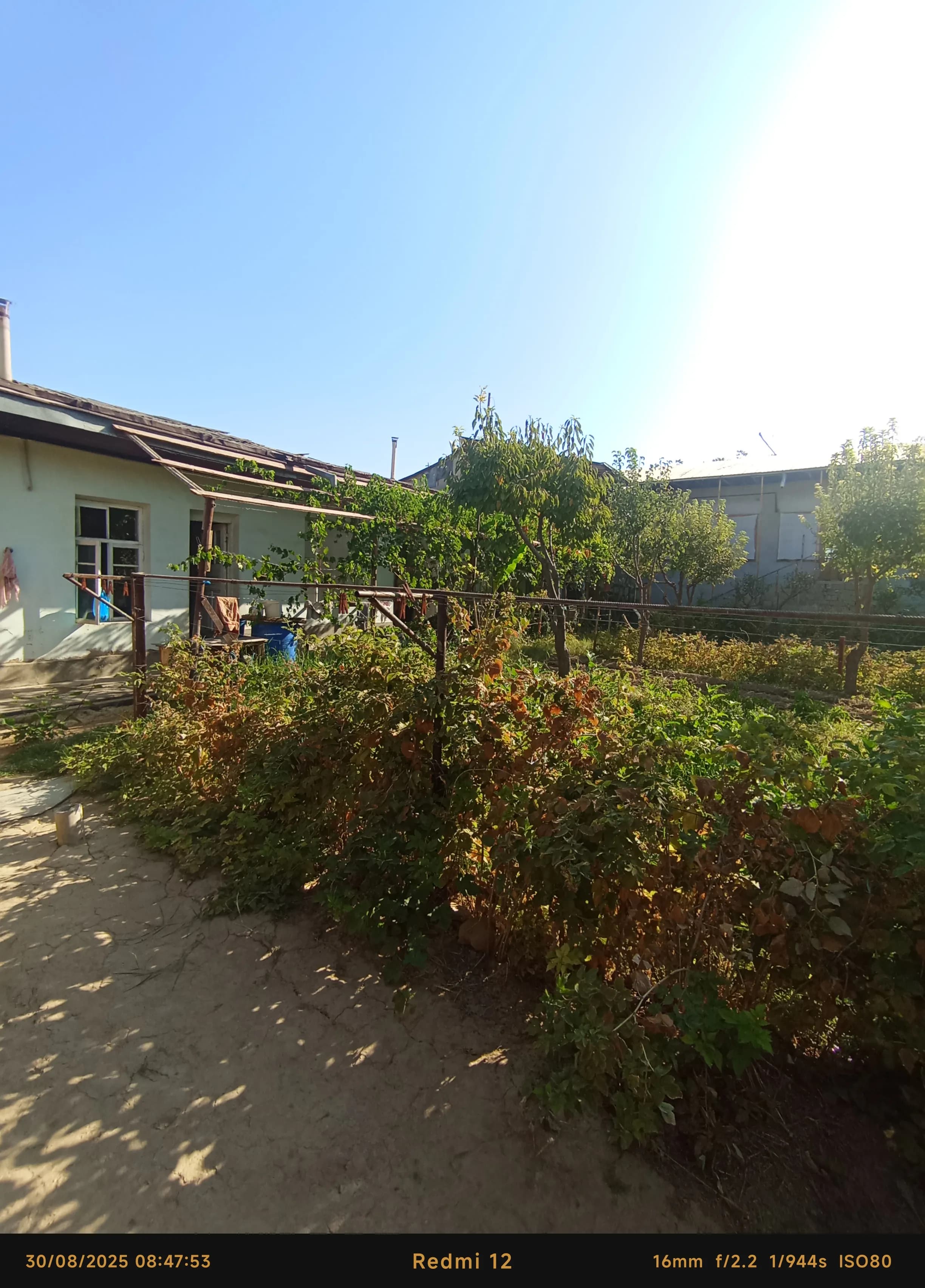 Xovli sotiladi — 6