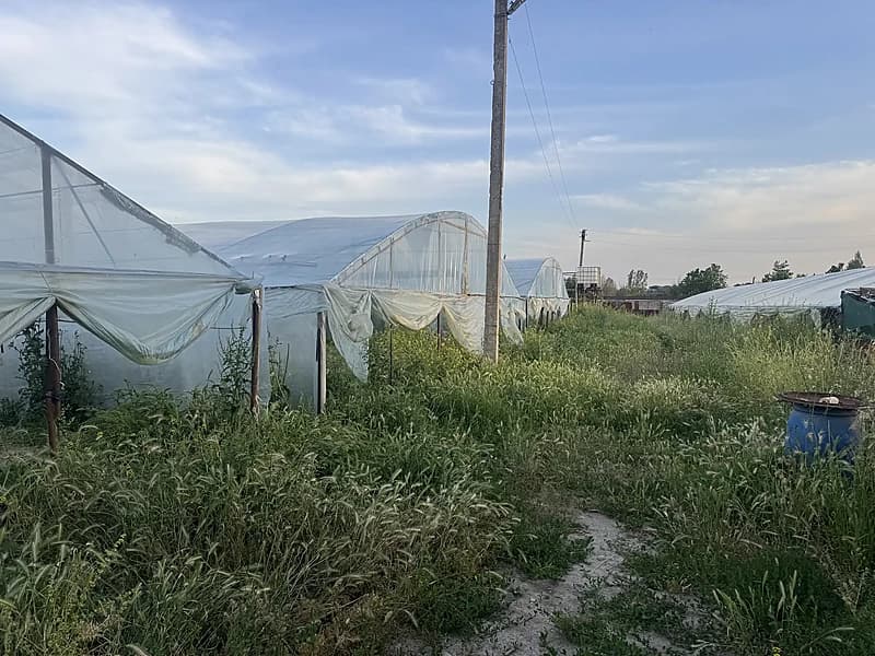Ortasaroyda yer sotiladi 48 sotix 6 sotixdanam bolip sotamz hozir teplitsa qip qoyilgan obod mahallaga tushgan — 1
