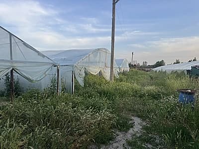 Ortasaroyda yer sotiladi 48 sotix 6 sotixdanam bolip sotamz hozir teplitsa qip qoyilgan obod mahallaga tushgan — 2