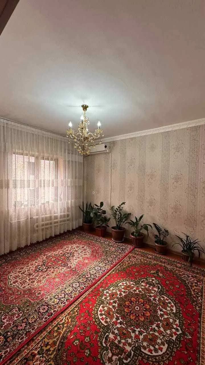 3 хонали Кора Камыш 2/1 — 2