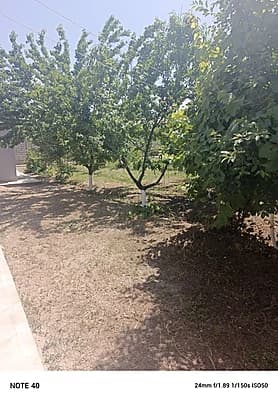Dacha 6 sotix srochna — 4