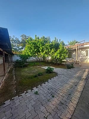 N7962 Olmazor tumani Sagbon 6 sotix — 5