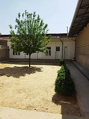 Algoritm Guliston maxallada xovli sotiladi — 4