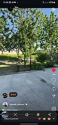 Hovli sotiladi 12 sotix — 4