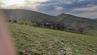 Ferma sotiladi — 3