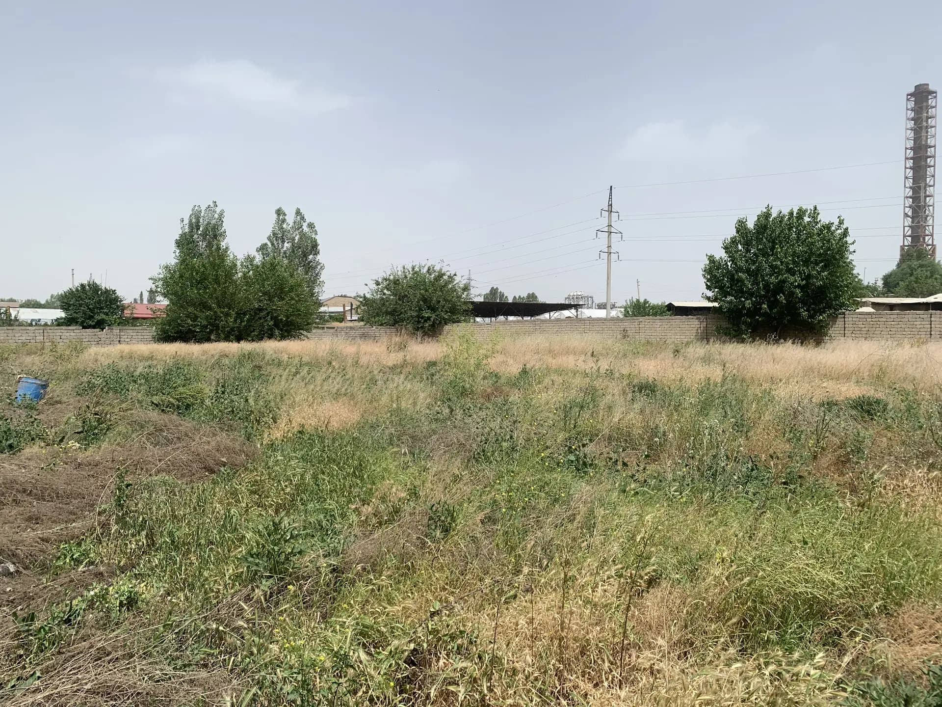 Nazarbek 32.2 sotih 3 hona 20 ta mol yoki ot boqishga sharoiti bor ferma qisayam bo’ladi — 2