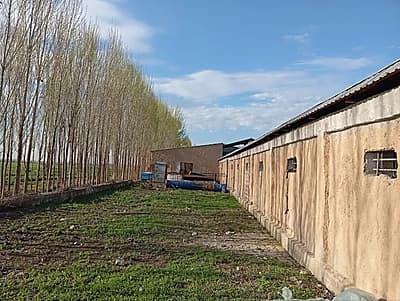 ФЕРМА СОТАМИЗ!Ўрта Чирчиқ тумани, трассадан 2 км. ФУД СИТИ да 5 км узокқликда жойлашган. — 3