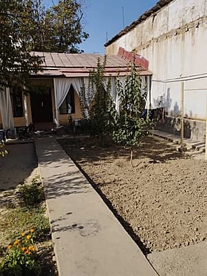Xovli sotladi — 6