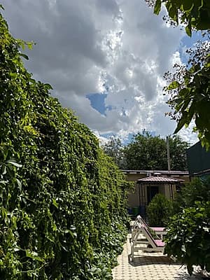 Toza pokiza dacha — 2