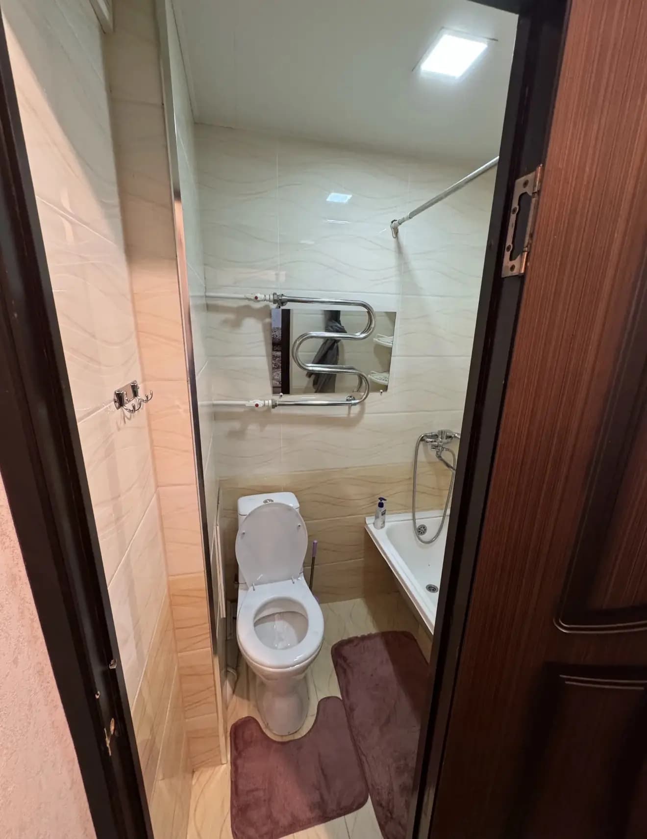 Бадамзар 1 комнатная — 1