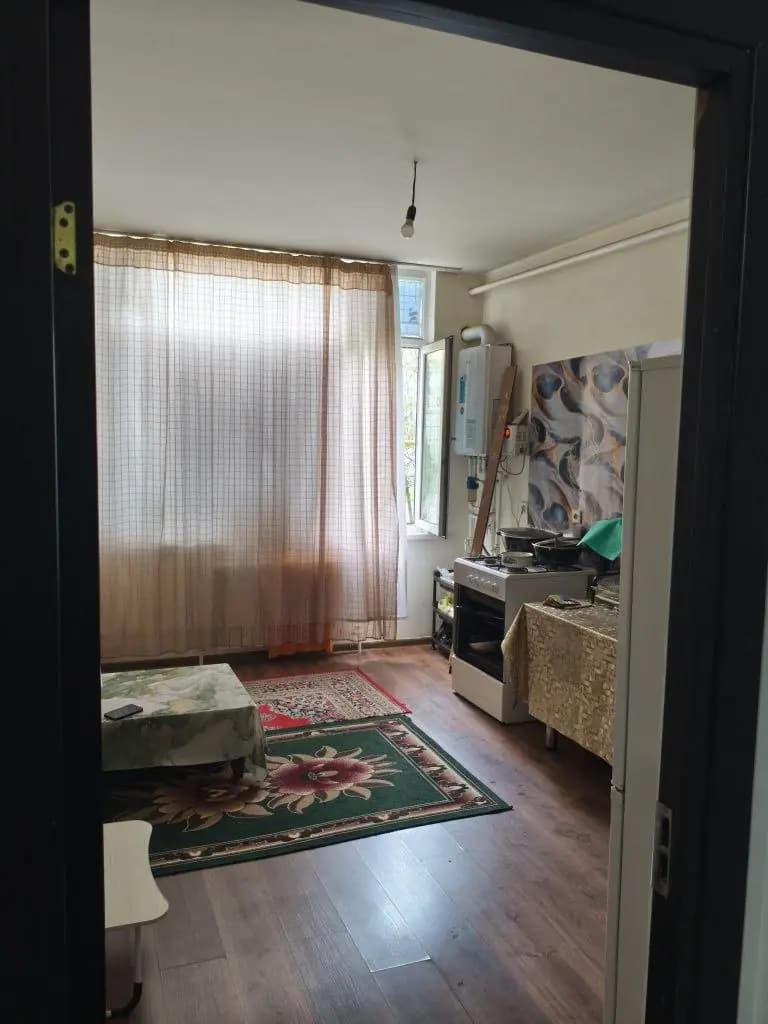 Sergeli choshtepa — 3