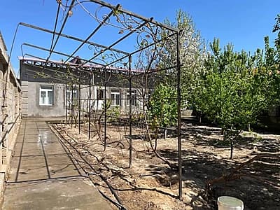Hovli sotiladi 6 sotuv xasanboy kensoyda — 3