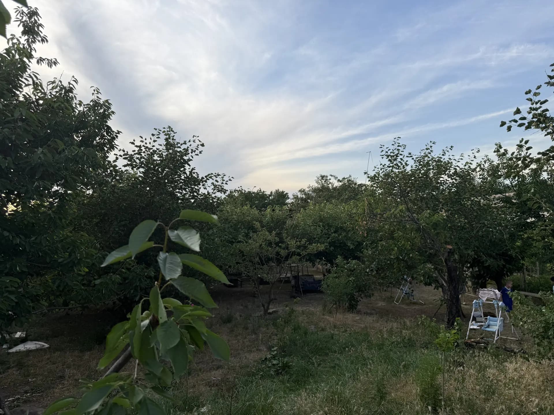 Samarqand darvoza uchastka sotiladi 20 sotok — 4