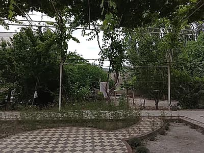 Quqon Shaxarda 8 Sutix Uy Sotiladi Xonalar Soni 9 Ta Xomom Sanuzel Xama Sharoyit Bor Gaz Suv Svet Momosiz Uylar — 3