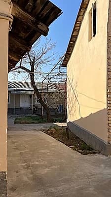 Bodomzor metro roparasida xovli sotiladi 946357677 — 4