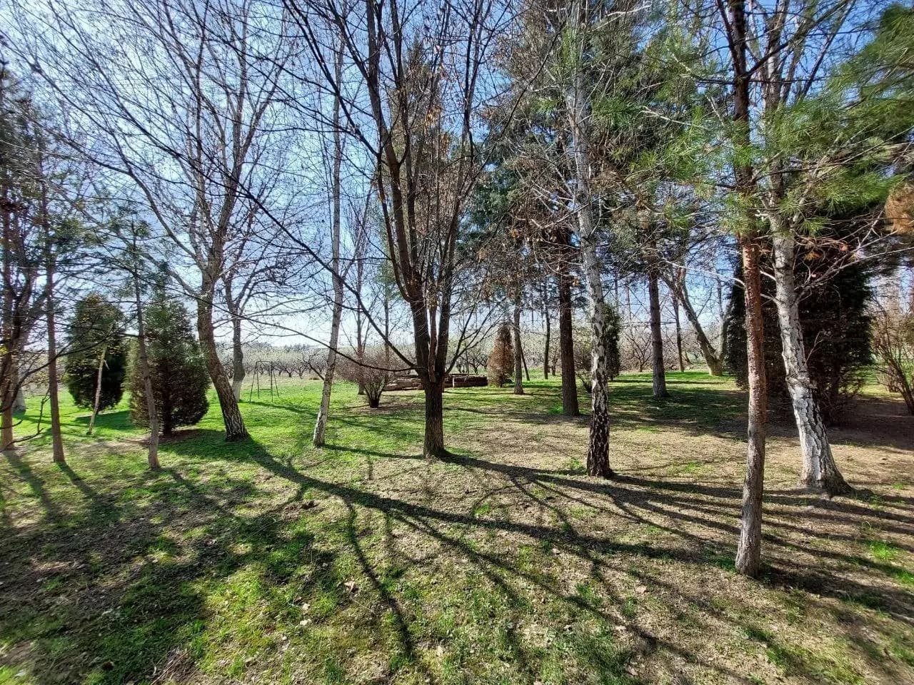 Зона отдыха Кибрай 8 Гектар — 8