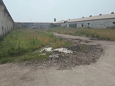 1 гектар Товук фабрика Бектемир тумани — 5