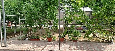 Sotiladi — 3
