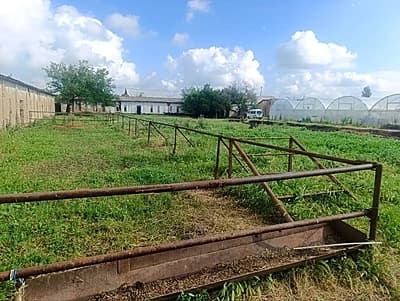 Ферма сотилади — 6