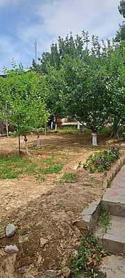 Sotiladi — 6