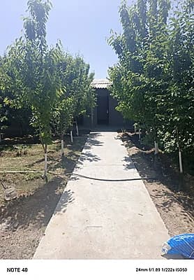 Dacha 6 sotix srochna — 3
