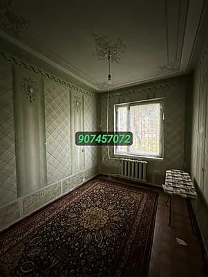 Кора Камыш 2/4 400y.e.2/8/9 — 4