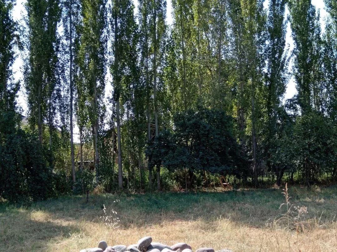 Арзон Ховли сотилади — 5