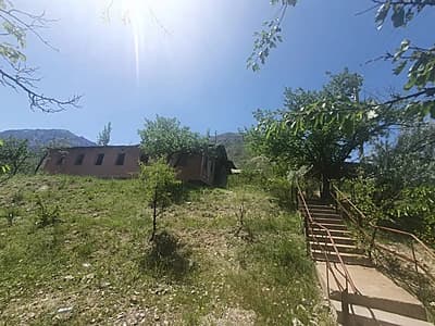 Shoxmardon Markazida — 7