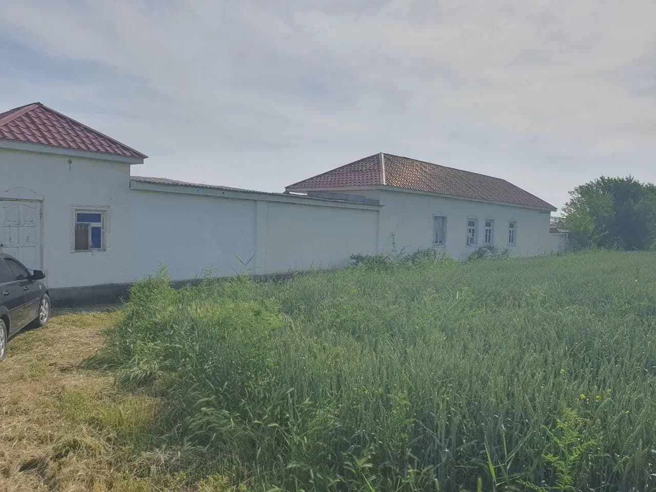 Продается земельный участок 4 Га Сирдарья, Синдаробод — 2