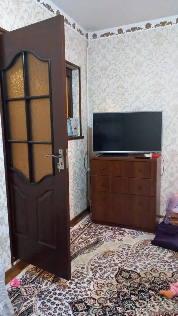 2 хонали кора камыш Аренда — 1