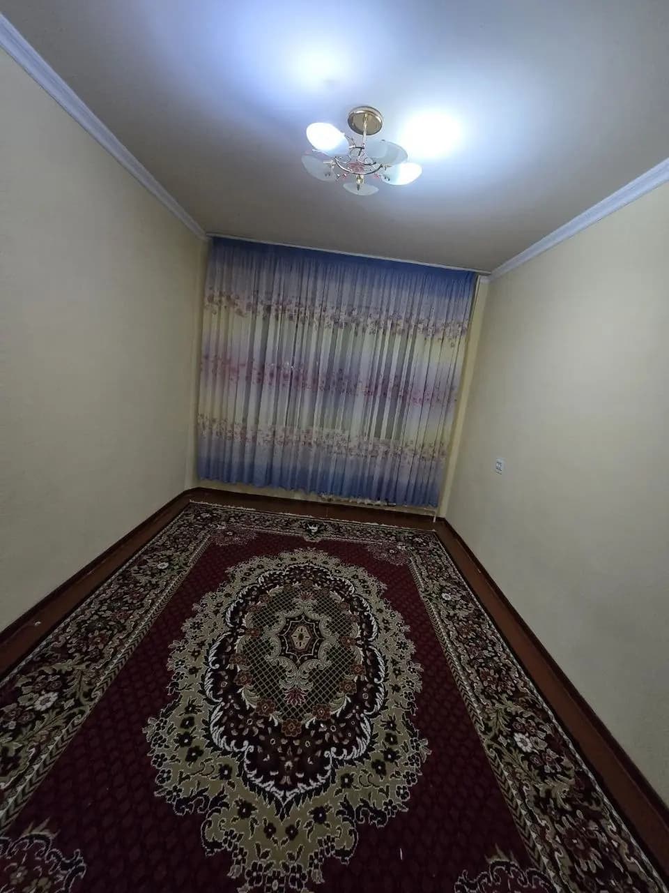 Кора камиш 2/11*2/3/4350&камунал ичида оила заксой охири бушиди  м — 5