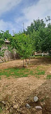 Sotiladi — 5
