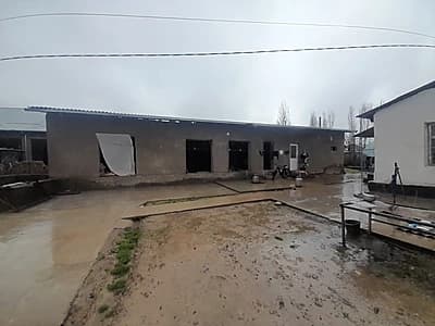 Чорвоқ ташкент трассасы ёнида арентир номер 1 беш бормоқ. Срочно новли сотилади. Кочамиз асфальт. Бохоси сотиги 7000дан. — 5