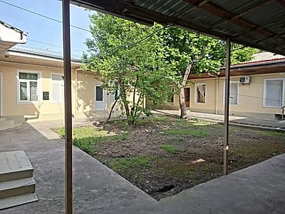 Arenda qorasaroy — 5