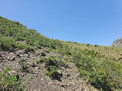 Shoxmardon Markazida — 10