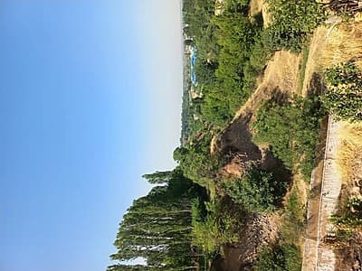 Bòstonliq tumanida dacha sotiladi — 7
