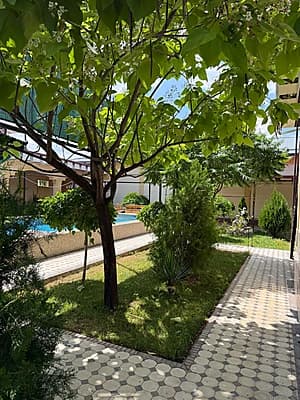 Toza pokiza dacha — 3