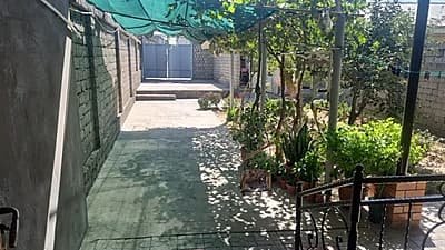 Hovli — 4