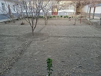 Ховли сотилади — 2