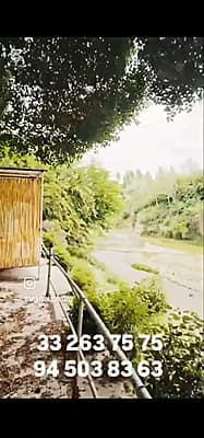 RESTARAN  DACHA  CHOYXONA DAM OLISH MASKANI — 8