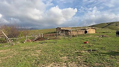 Ferma sotiladi — 6