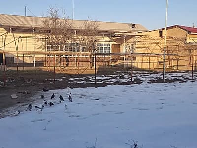 Uy sotiladi 10 sotix ozgina kam narhi 150000y.e. kelshlnadi srochniy — 2